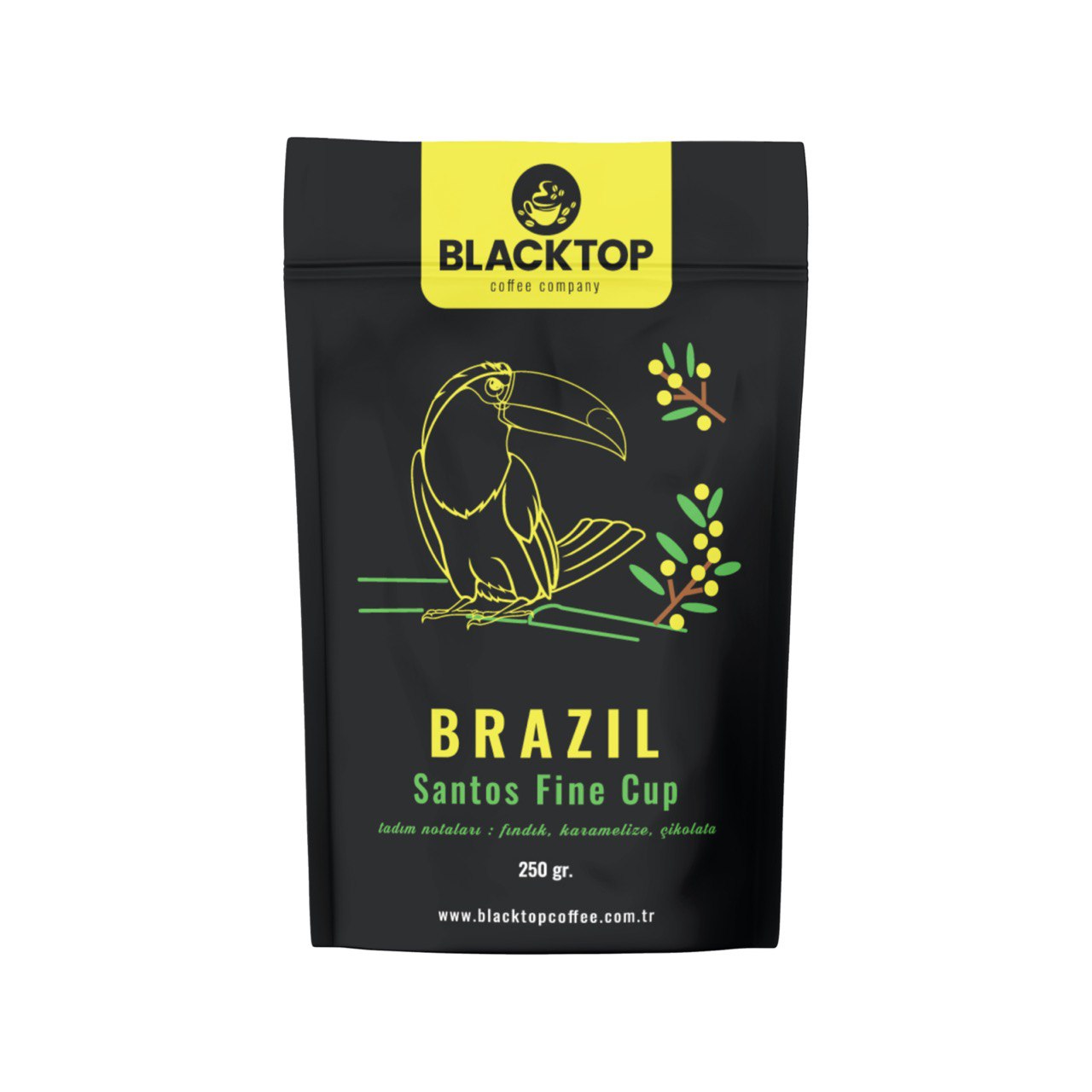 Brazil Santos Fine Cup